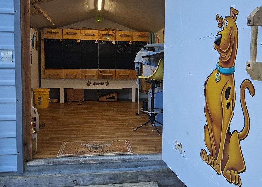 The Bee Shed: An Interior Tour