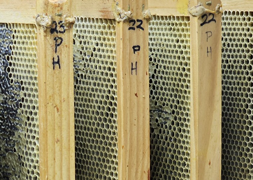 How I Mark Frames and Hives