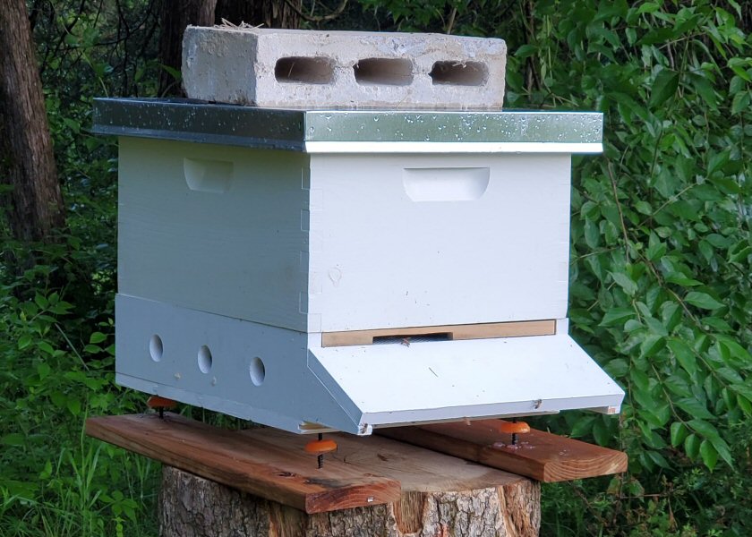 The Early Days: Swarm Traps, Vented Bottoms, and Hive Stands